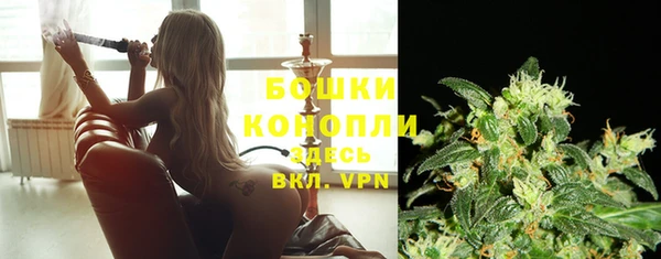 круглые Бородино