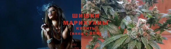 гидра Бугульма