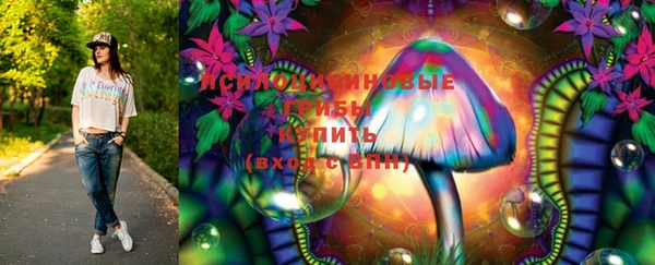 круглые Бородино