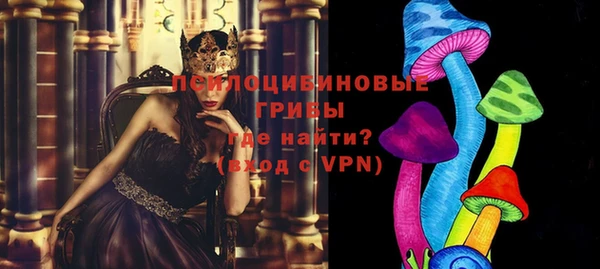 гидра Бугульма