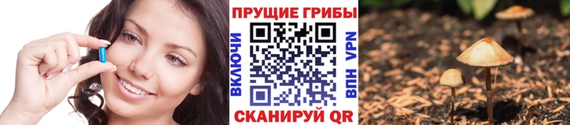 Псилоцибиновые грибы GOLDEN TEACHER  цена   Кирсанов 